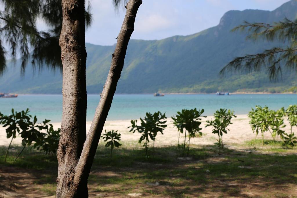 Con Dao Camping Hotell Eksteriør bilde