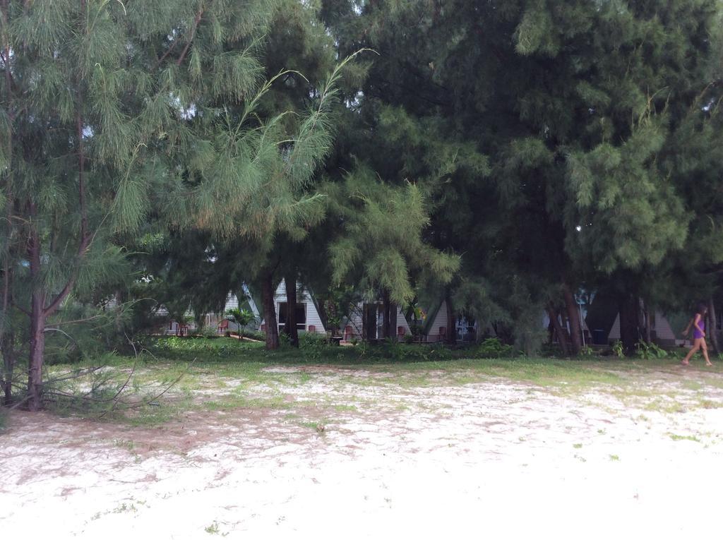 Con Dao Camping Hotell Eksteriør bilde